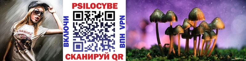 Галлюциногенные грибы GOLDEN TEACHER  Камень-на-Оби 